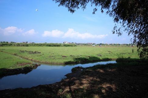 https://images-residence.summarecon.com/images/gallery/article/4449/Bararesih Kampung Blekok 5.jpg